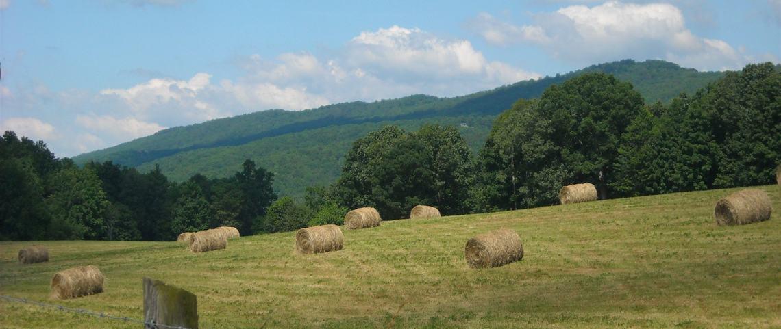King George Inn Roanoke Zewnętrze zdjęcie